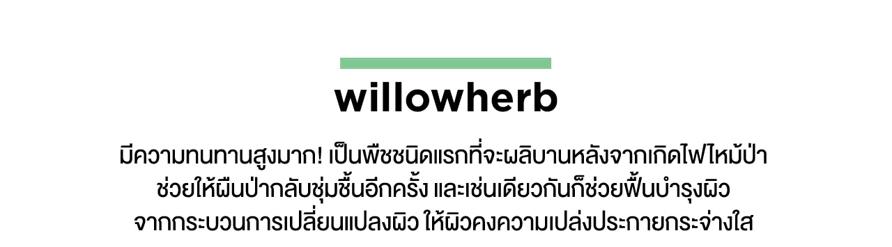 Willowherb